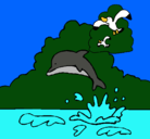 Dibujo Delfín y gaviota pintado por willian