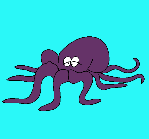 Pulpo