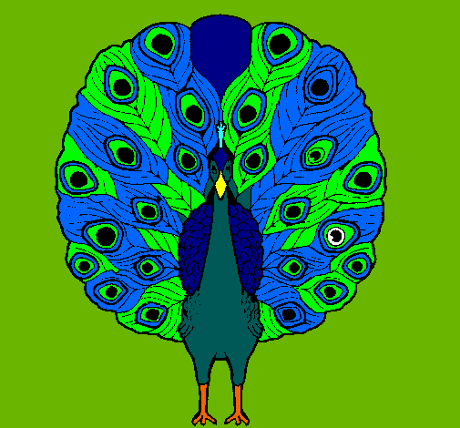 Pavo real