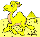 Dibujo Camello pintado por esteban