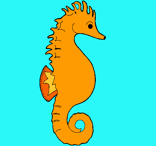 Caballito de mar