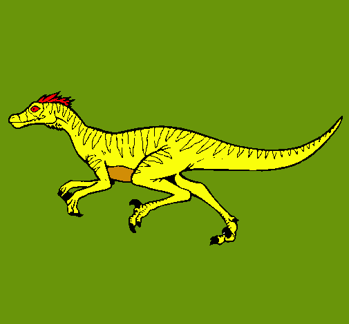 Velociraptor