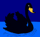 Dibujo Cisne en el agua pintado por anamariavecino