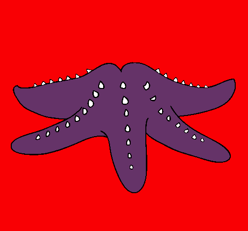 Estrella de mar