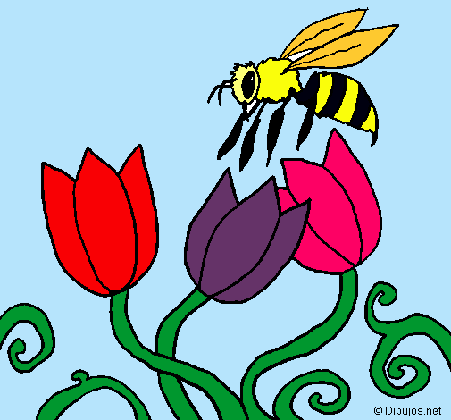 Abeja