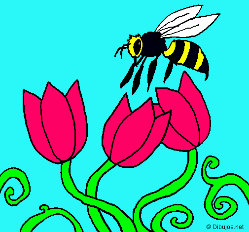 Abeja