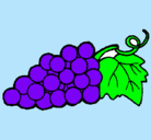 Dibujo racimo pintado por uvas