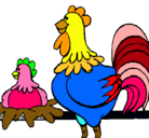 Dibujo Gallo y gallina pintado por pau