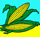 Dibujo Mazorca de maíz pintado por zaimir