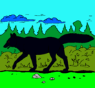 Dibujo Coyote pintado por elisasophieramis
