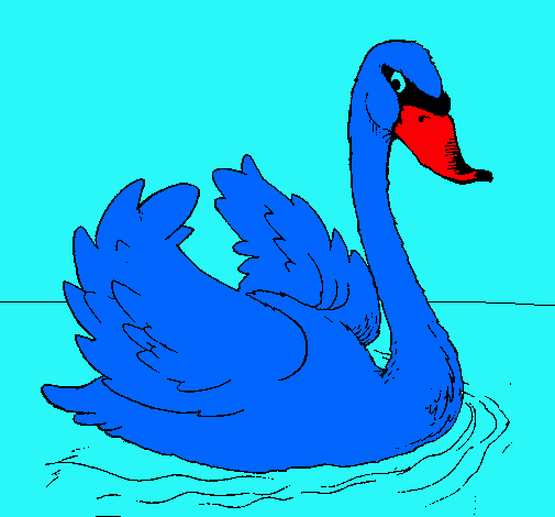 Cisne en el agua