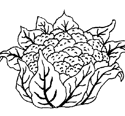 coliflor