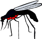 Dibujo Mosquito pintado por aracnida