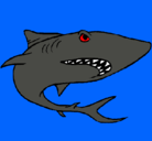 Dibujo Tiburón pintado por kevin