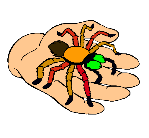 Tarántula