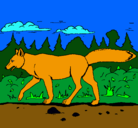 Dibujo Coyote pintado por ferchu