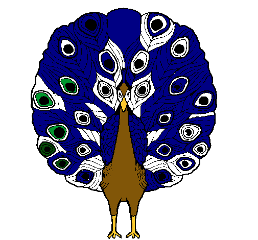 Pavo real