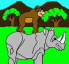 Dibujo Rinoceronte y mono pintado por monoyrinoserontesomam