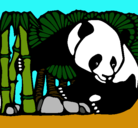 Dibujo Oso panda y bambú pintado por alexander