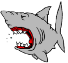 Dibujo Tiburón pintado por alberto