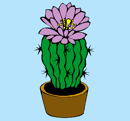 Cactus con flor