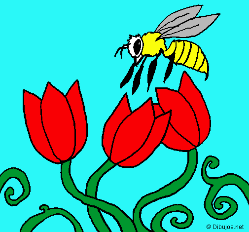 Abeja