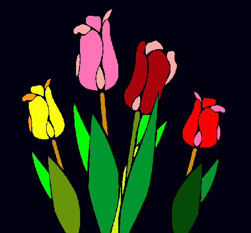 Tulipanes