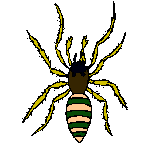 Araña tigre