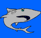 Dibujo Tiburón pintado por santinoo