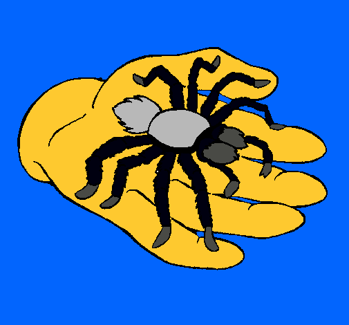 Tarántula