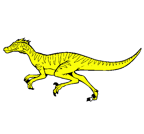 Velociraptor