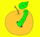 Dibujo Manzana con gusano pintado por francisco