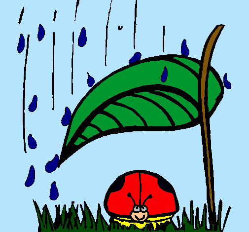 Mariquita protegida de la lluvia