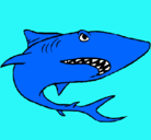 Dibujo Tiburón pintado por mireille