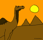 Dibujo Camello pintado por lara