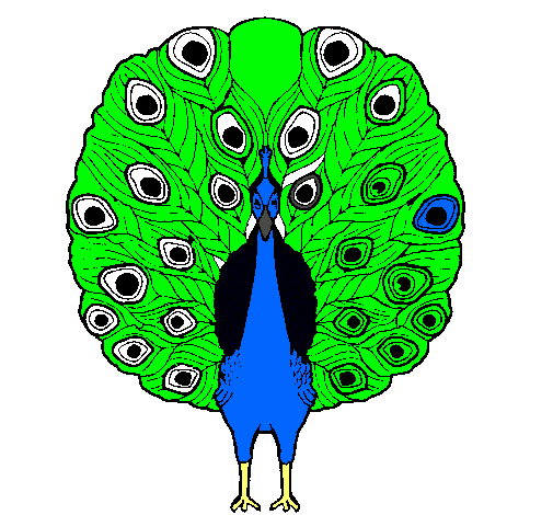 Pavo real