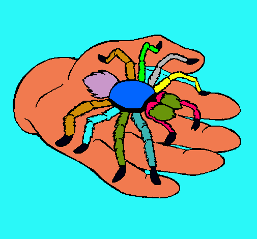 Tarántula