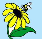 Dibujo Margarita con abeja pintado por VREO