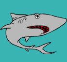 Dibujo Tiburón pintado por carlos