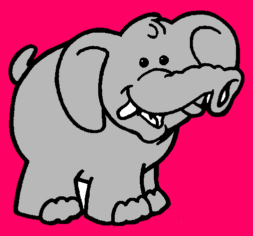 Elefante