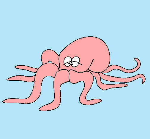 Pulpo