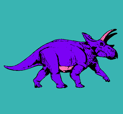 Triceratops