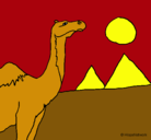 Dibujo Camello pintado por estrellamarina