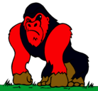 Dibujo Gorila pintado por diego