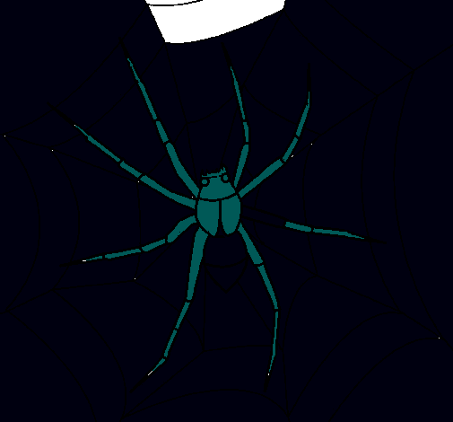 Araña