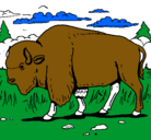 Dibujo Búfalo  pintado por roooo