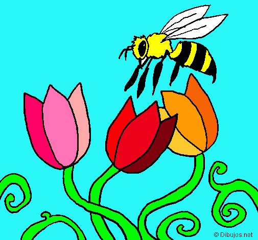 Abeja