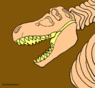Dibujo Esqueleto tiranosaurio rex pintado por leonardo