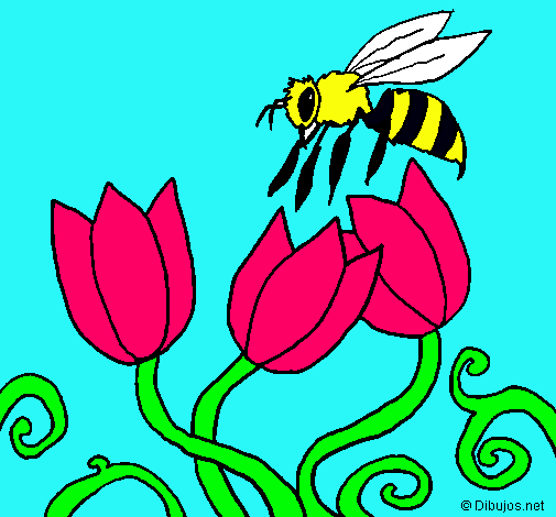 Abeja