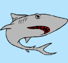 Dibujo Tiburón pintado por jose